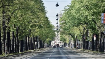 Wien grünste Stadt