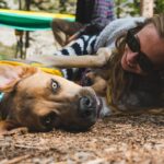 Seit Ende März sind in Hundeschulen wieder Gruppentrainings erlaubt. Foto: Unsplash/Chewy