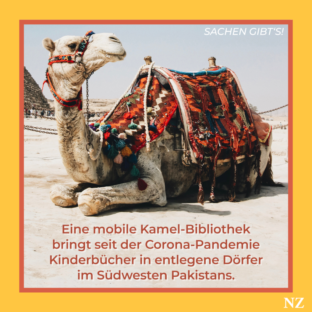 Die Kamel-Bibliothek in Pakistan