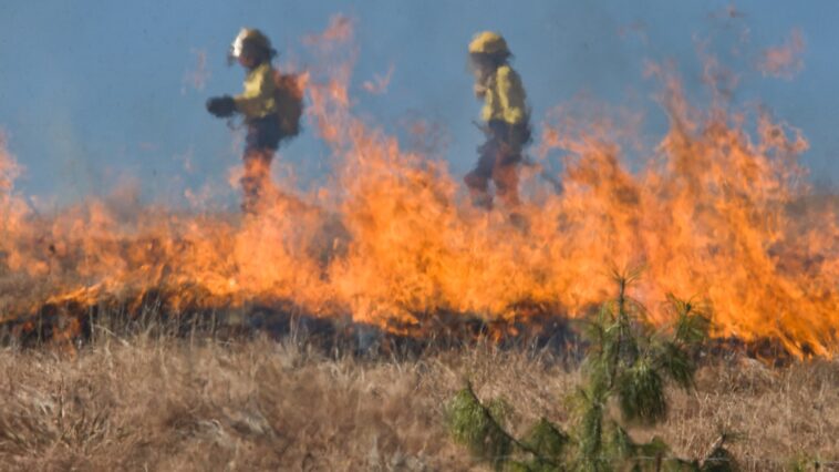 Feuerwehrleute versuchen ein Feuer zu löschen eine Naturkatastrophe