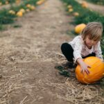 Bild: Unsplash/ Patrick Fore