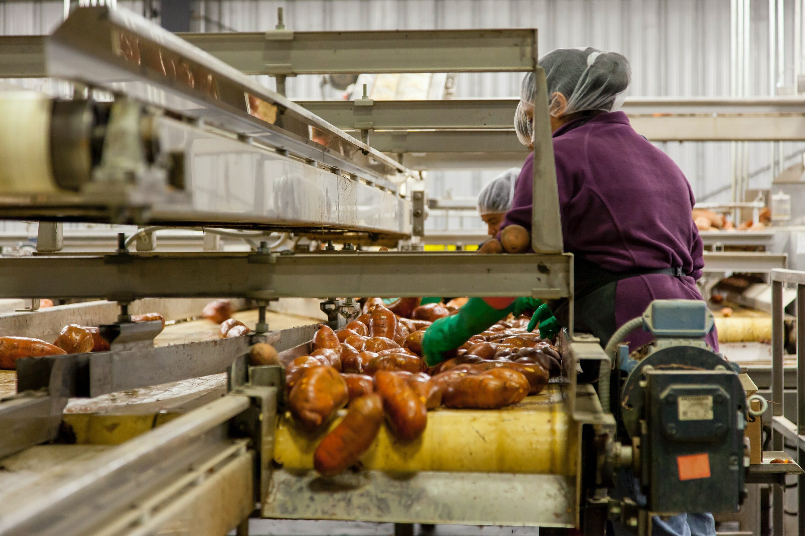 Eine Frau in einer Brotfabrik