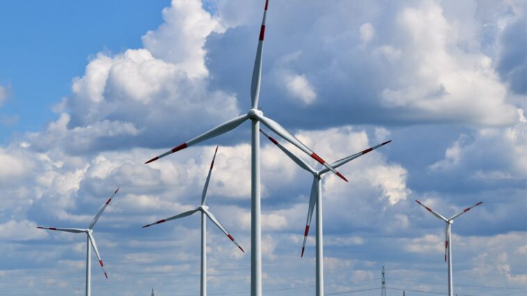 Bild: Unsplash/Waldemar Brandt