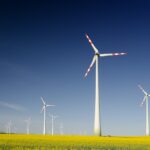 erneuerbare energien Burgenland Windräder auf sonnenblumenfeld vor dunkelblauem Himmel