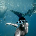 Hai_The Bored Apeventurer_unplash