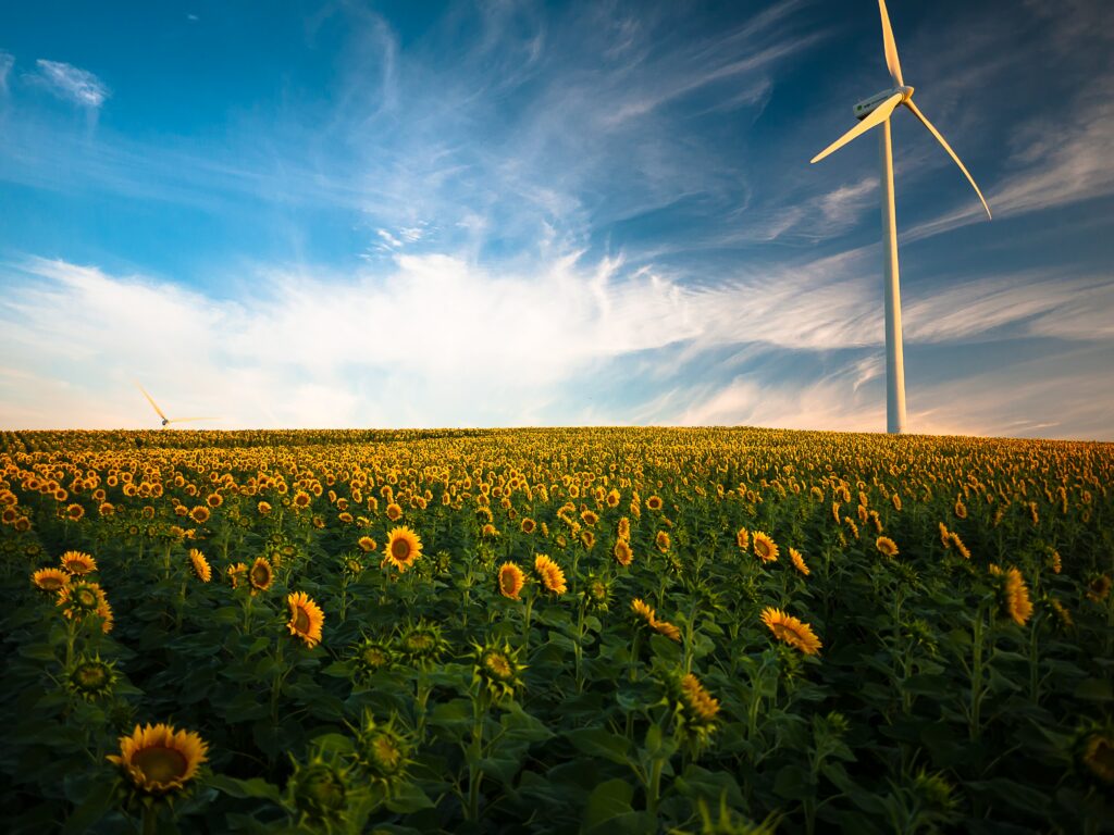 Grüne Energie für Stromspeicher: Stromspeicher aus umweltfreundlichem Salz könnte die Energiewende beschleunigen