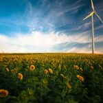 Das Bild zeit ein Windrad, das in einem Feld Sonnenblumen steht. Die Sonne scheint, der Himmel ist blau.