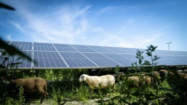 Photovoltaik mit Stromspeicher aus Salz