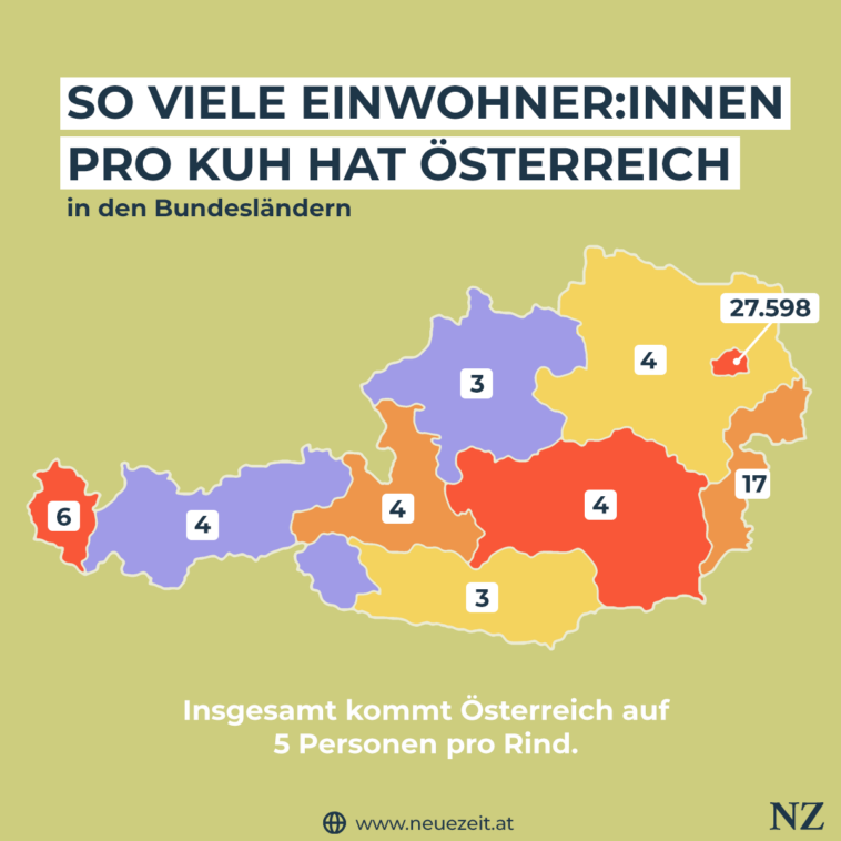 Menschen pro Kuh in Österreichs Bundesländern