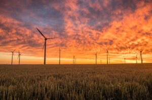Generarea de energie electrică în Austria: Cine produce electricitatea în Austria?  Fermă eoliană pe un lan de porumb