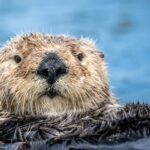 Bild: Unsplash/mana5280