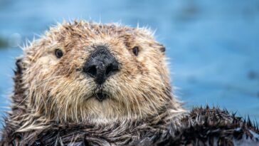 Bild: Unsplash/mana5280