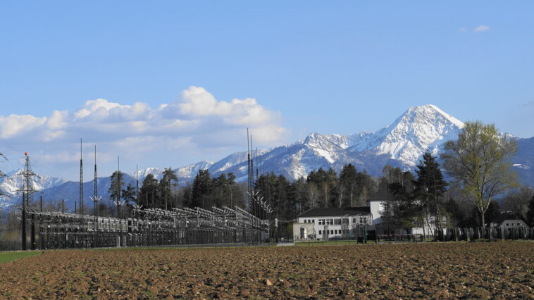 Bild: Naturpuur, CC BY 4.0 , via Wikimedia Commons