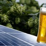 Hopfen Photovoltaik Sonnenenergie