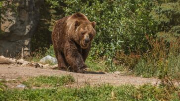 Image by wirestock on Freepik