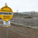 Ohlsdorf Wald Rodung