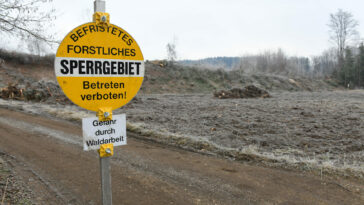 Ohlsdorf Wald Rodung