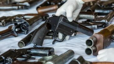 Oberösterreich Neonazi