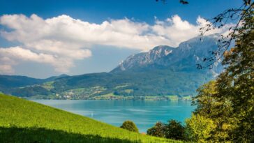 Attersee, Höllengebirge, Blätter // Credits: maxman - pixabay