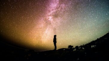 Wie ist es als Bestatter zu arbeiten