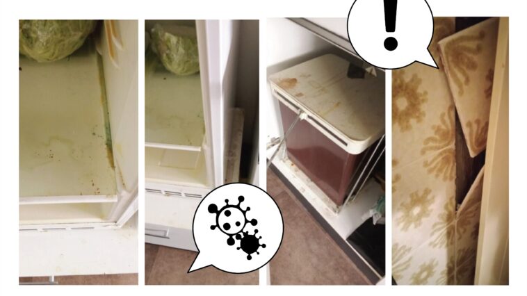 Bild: Montage / FSG Tirol