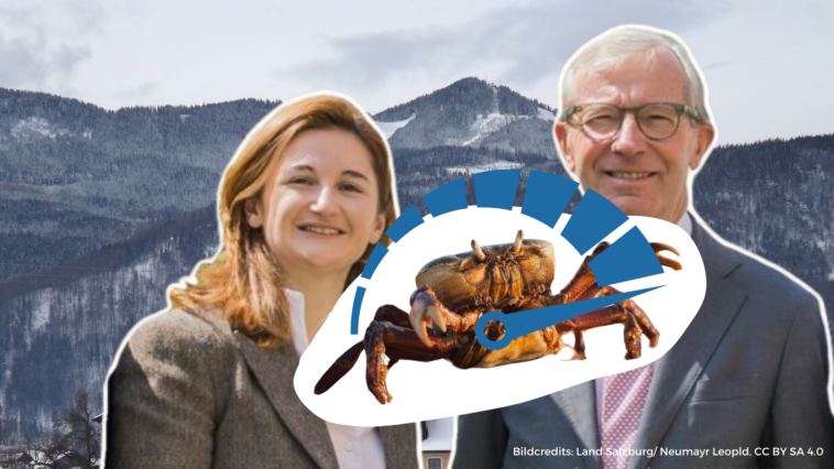 6 Monate Schwarz Blau Salzburg