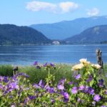 freier seezugang ossiach