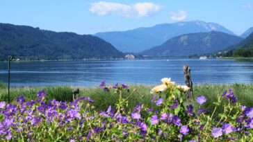 freier seezugang ossiach