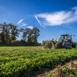 Bauern Proteste Kritik