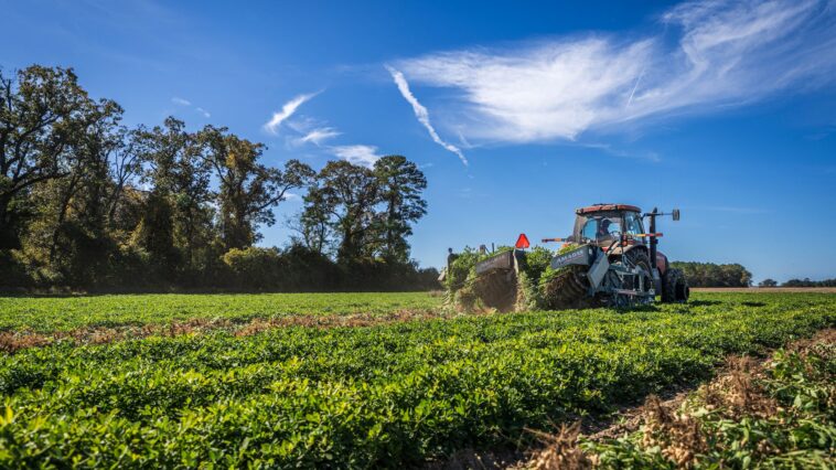 Bauern Proteste Kritik