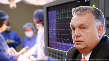 Ungarns Gesundheitssystem steckt in der Krise - aber auch im Bildungsbereich gibt es Mängel.