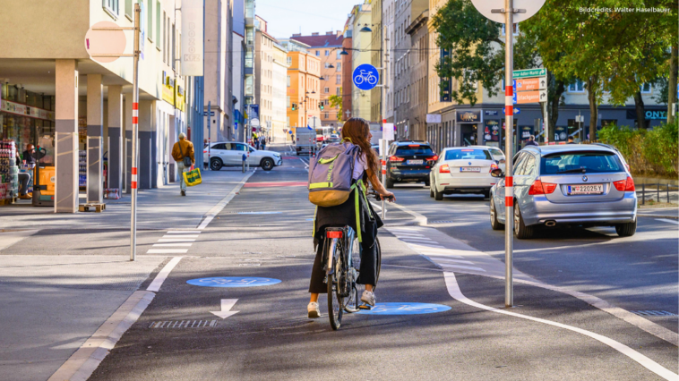 Der Radweg in Favoriten in der Herndlgasse sorgt für politische Aufregung. Am Bild: eine junge Frau am Rad.