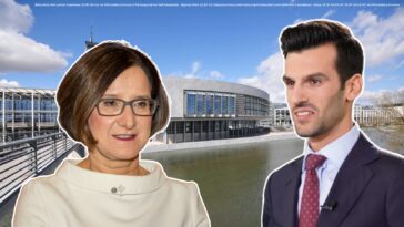 schwarz-blau niederösterreich