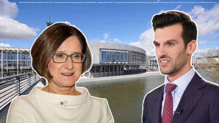 schwarz-blau niederösterreich