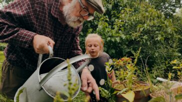 EU-Förderungen haben das Burgenland zu dem gemacht was es heute ist: Generationen können hier zufrieden leben. Am Bild sieht man einen Großvater mit Kappe und Gießkanne, während er Blumen gießt und ihm seine etwa 9-jährige Enkeltochter rechts von ihm dabei zu sieht.