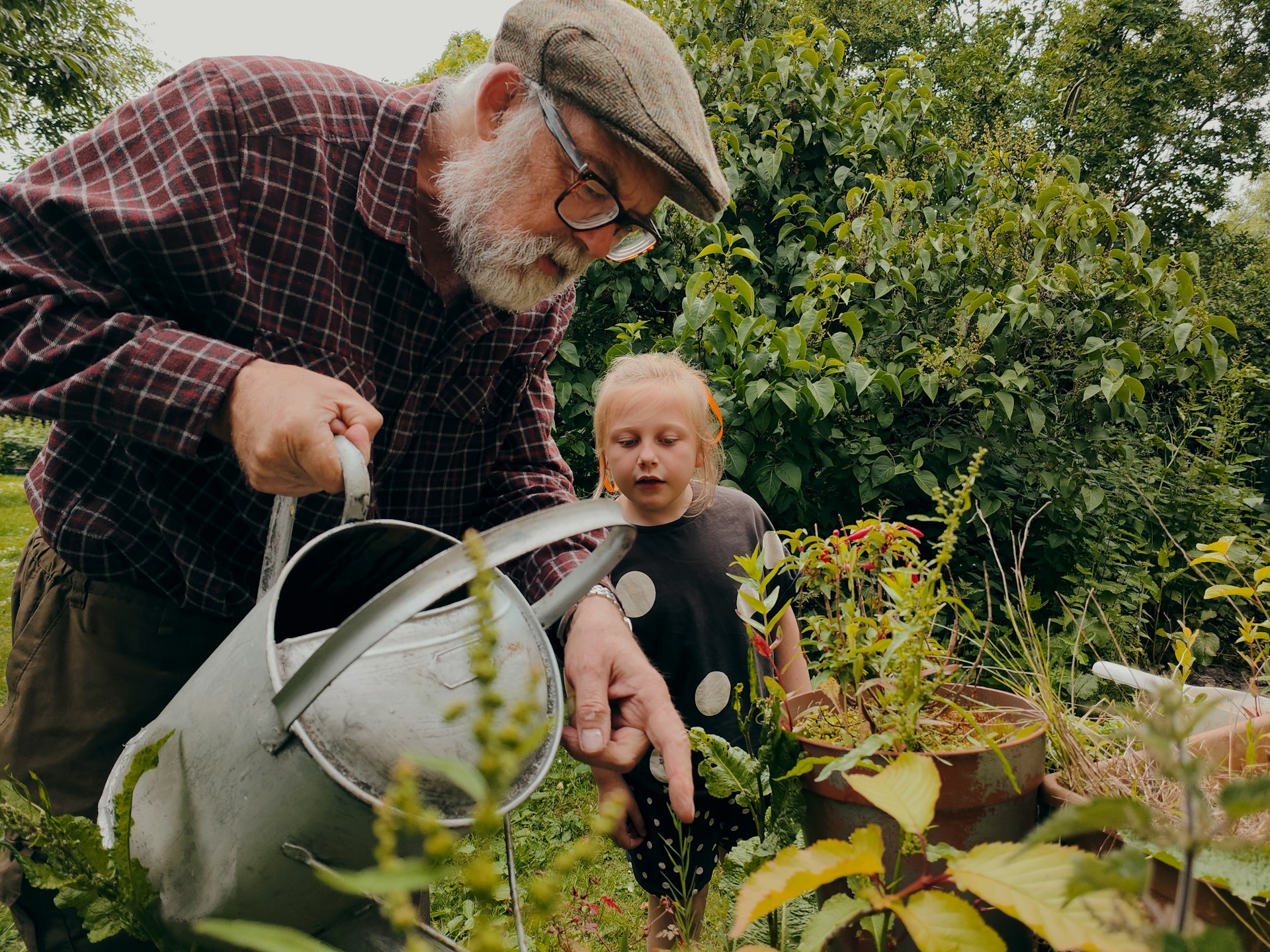 EU-Förderungen haben das Burgenland zu dem gemacht was es heute ist: Generationen können hier zufrieden leben. Am Bild sieht man einen Großvater mit Kappe und Gießkanne, während er Blumen gießt und ihm seine etwa 9-jährige Enkeltochter rechts von ihm dabei zu sieht.