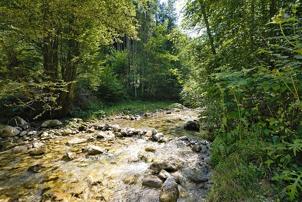 Weißenbach in Reichraming im Nationalpark Kalkalpen