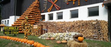 Herbstferien Niederösterreich