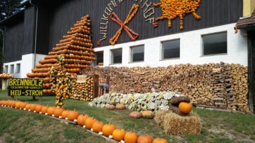 Herbstferien Niederösterreich