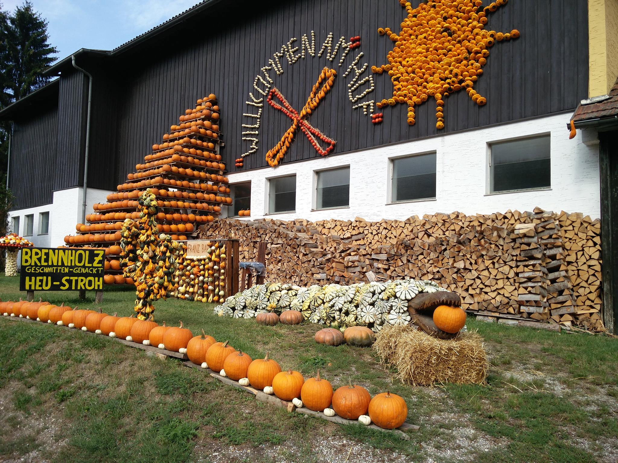 Goldene-Tage-Die-sch-nsten-Ausflugsziele-f-r-die-Herbstferien-in-Nieder-sterreich