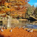 Herbstferien Oberösterreich