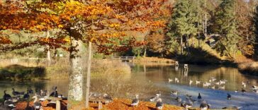 Herbstferien Oberösterreich