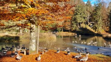 Herbstferien Oberösterreich